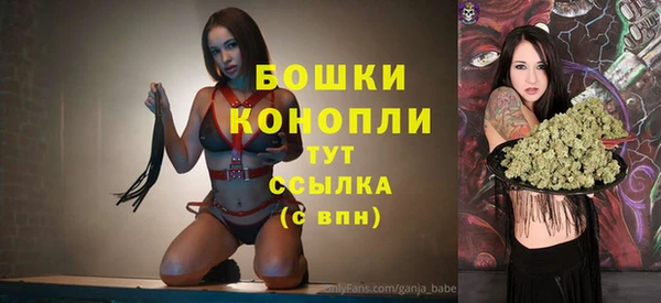 стаф Беломорск