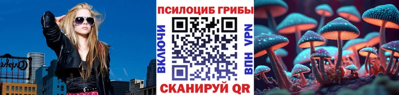 закладка  Кукмор  Псилоцибиновые грибы Cubensis 